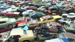 Illustration for article titled Is This The World's Largest Vintage Mustang Junkyard?